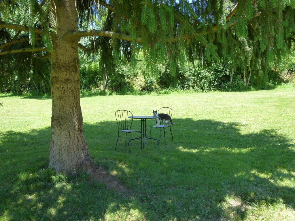 Au Mas de Gamet Théminettes Exterior foto