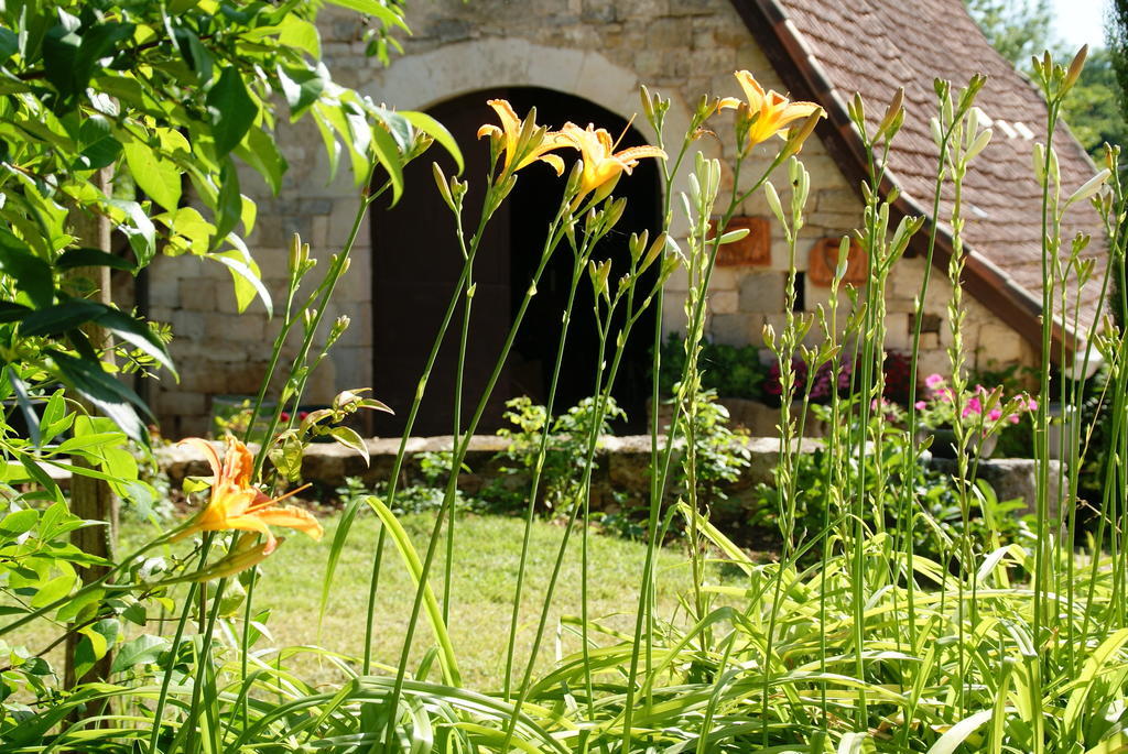 Au Mas de Gamet Théminettes Exterior foto