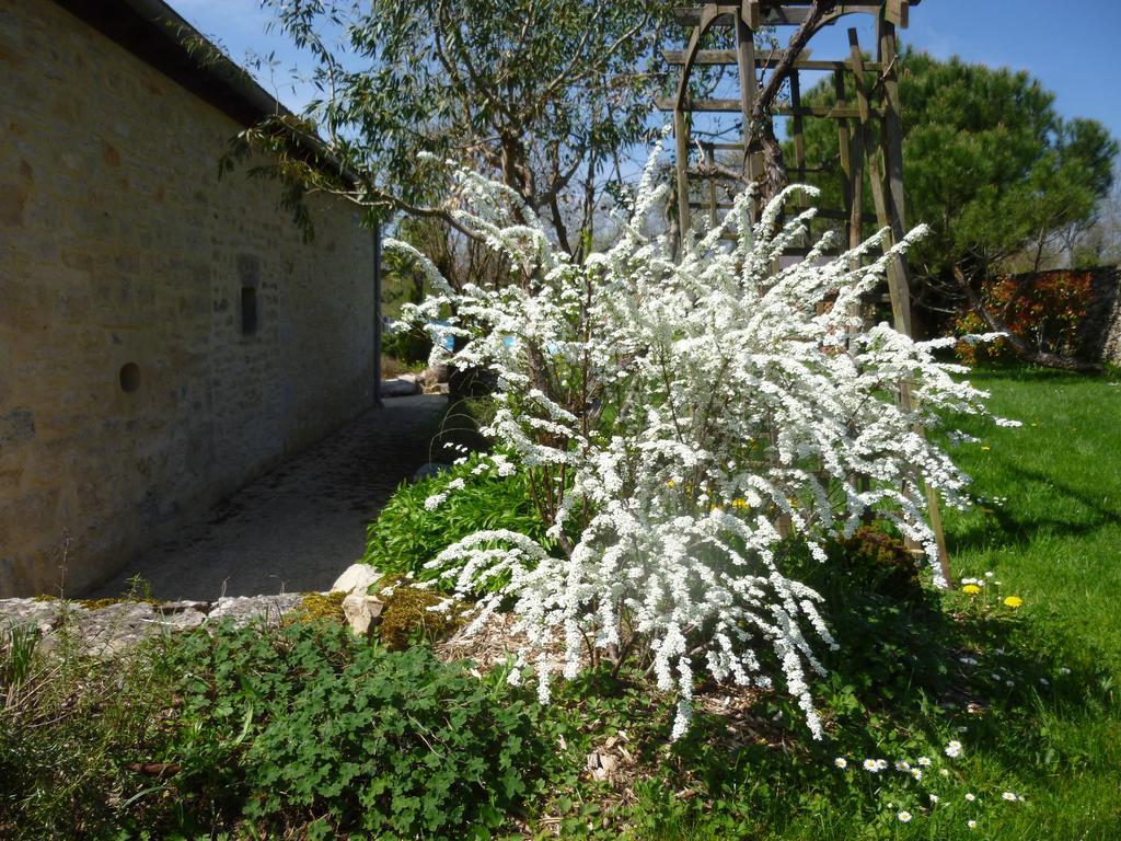 Au Mas de Gamet Théminettes Exterior foto
